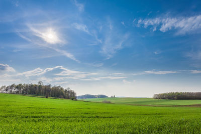 Scenic view of field against sky