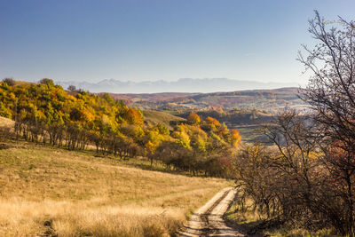 Scenic view of landscape against clear sky