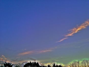 Low angle view of trees against blue sky