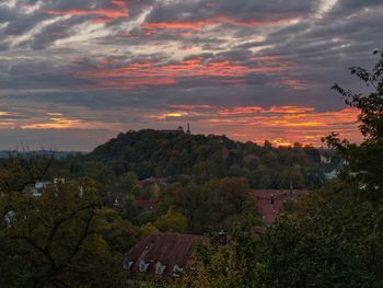 Trees and buildings against sky during sunset