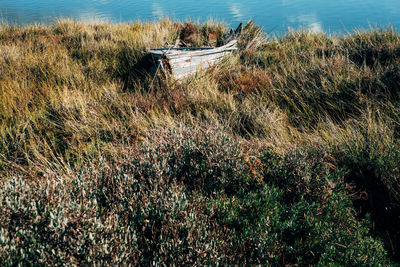 Full frame shot of abandoned boat in sea