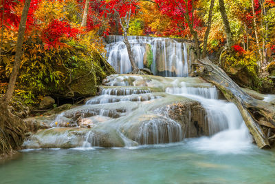 Waterfall in forest