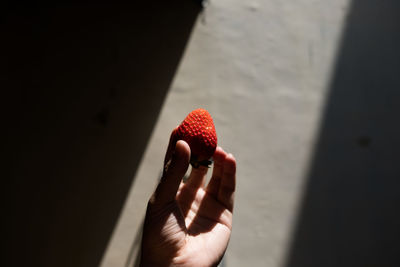 Close-up of hand holding strawberry