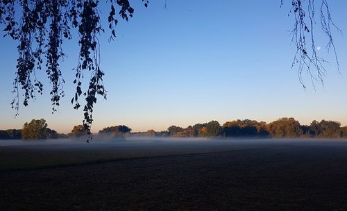 Scenic view of field against clear sky during sunset