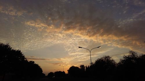 Silhouette of trees at sunset