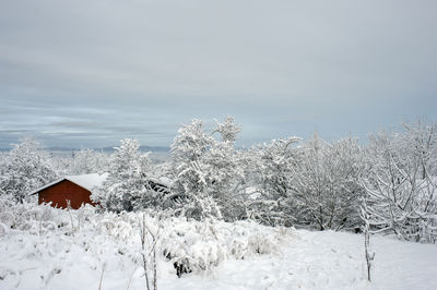 House on snow covered field against sky