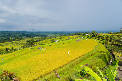 High angle view of agricultural field against sky