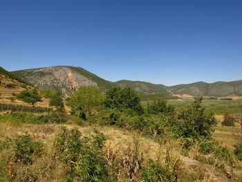 Scenic view of landscape against clear blue sky