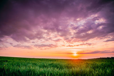 Scenic view of field against sky during sunset