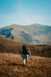 Rear view of man walking on field