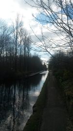 Reflection of trees in river