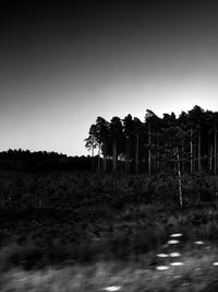 Silhouette trees on landscape against clear sky