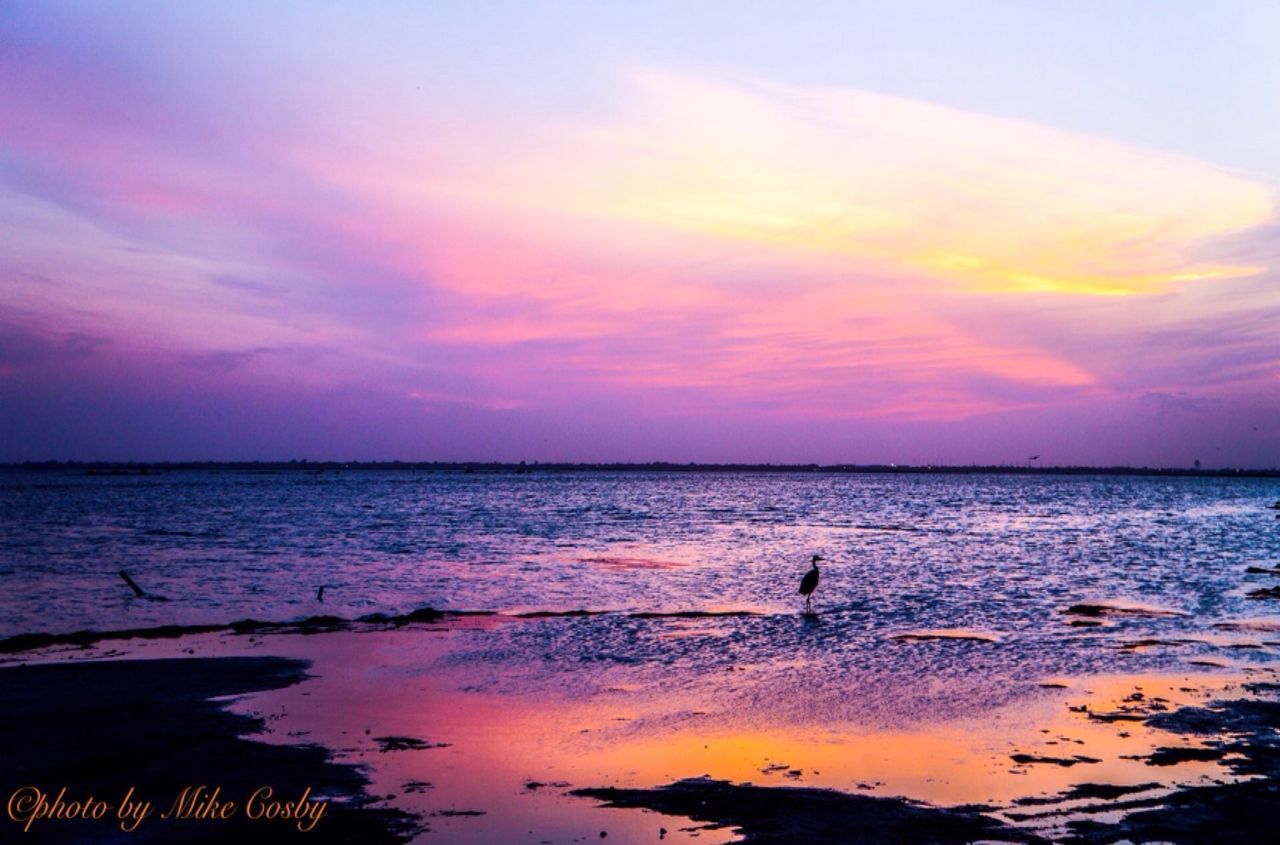 SUNSET OVER SEA