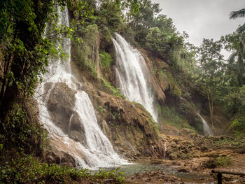 Scenic view of waterfall in forest