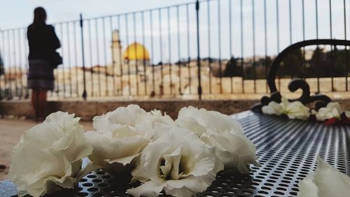 Close-up of white rose on table