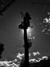 Silhouette tree against sky