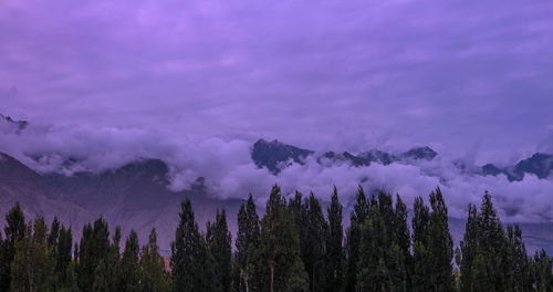 Panoramic view of trees and mountains against sky