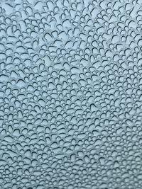 Full frame shot of window