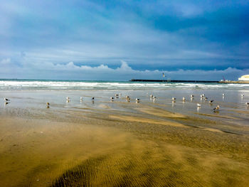 Scenic view of beach against sky