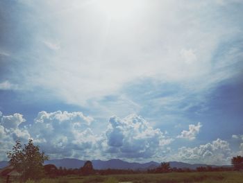 Scenic view of field against sky on sunny day