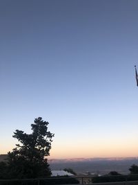 Silhouette tree against clear sky during sunset