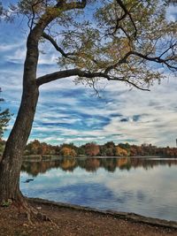 Reflection of trees in lake