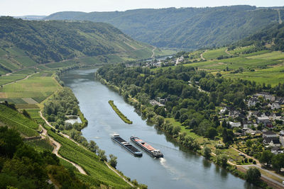 Bird's eye view of a village near the mosel river surrounded by greenery and vineyards in germany