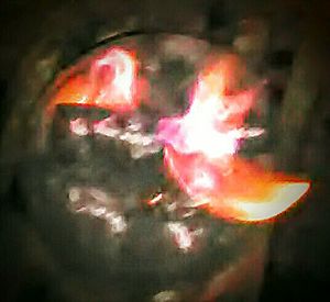 Close-up of fire