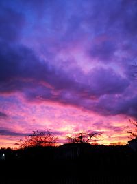 Silhouette plants against dramatic sky during sunset