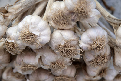 Close-up of white garlics for sale in market