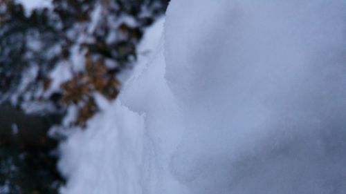 Close-up of snow against sky