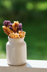 Close-up of white rose on table
