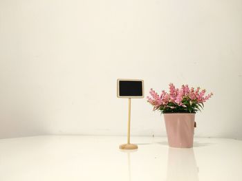 Close-up of white flowers on table