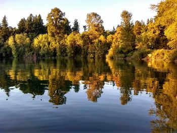 Scenic view of lake in forest against sky