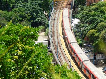 High angle view of train amidst trees