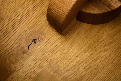 High angle view of an animal on hardwood floor