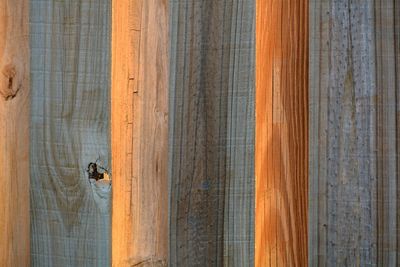 Close-up of wooden fencing backlit by setting sun
