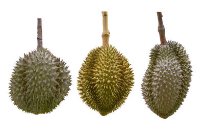 Close-up of fruits against white background