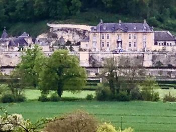 Houses on field by buildings in city