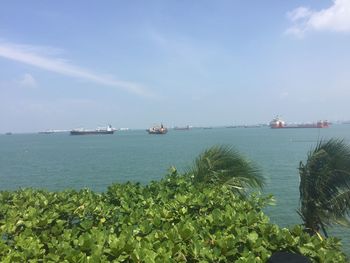 Scenic view of sea against sky