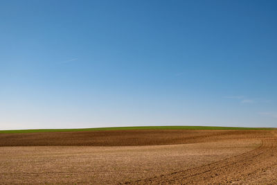 Scenic view of agricultural field against clear blue sky