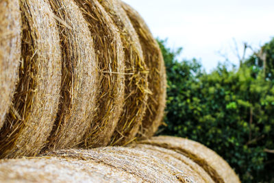 Rear view of hay bales