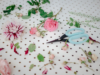 High angle view of pink flowers and scissors on table
