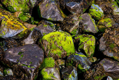 Full frame shot of stones in water