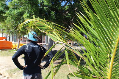 Rear view of man standing by palm trees