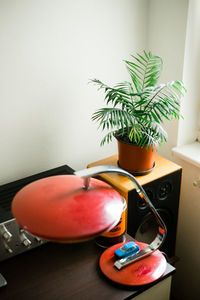 Potted plant on table