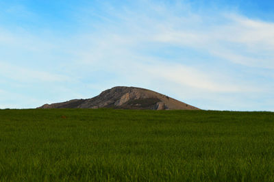 Scenic view of field against sky