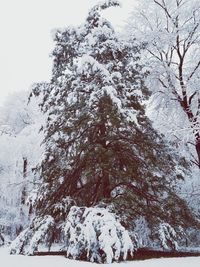 Scenic view of snowcapped mountains during winter