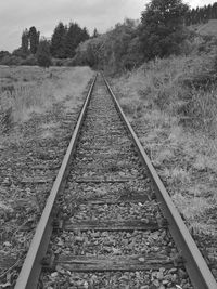 View of railway tracks along trees