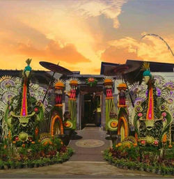 Multi colored flowering plants against yellow sky during sunset